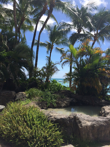 Lili'uokalani Fountain