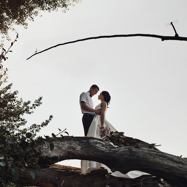 Wedding photographer Yuliya Nechepurenko (misteria). Photo of 30 August 2016