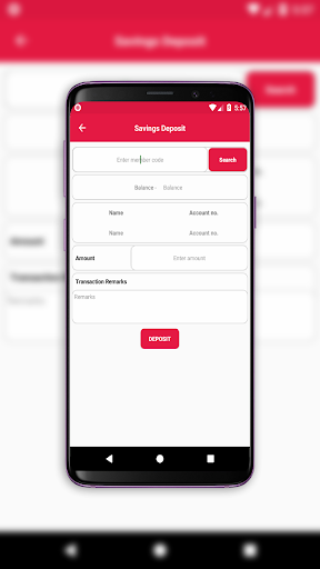 Bibhabari Nidhi Limited