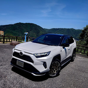 RAV4 AXAP54