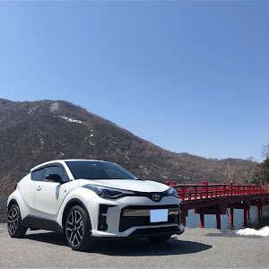 C-HR NGX10