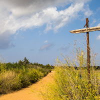 La strada di casa di 