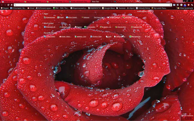 Red Rose 2 Theme chrome extension