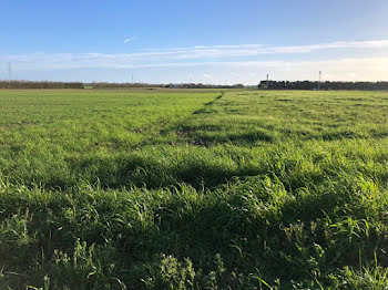 terrain à Villedoux (17)