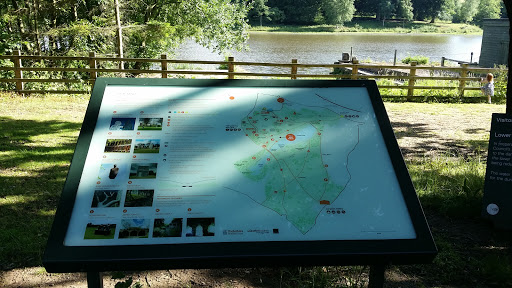 YSP Lower Lake Map