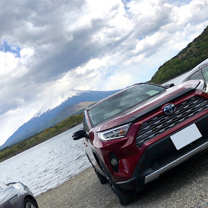 RAV4 AXAH54