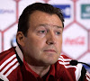 Wilmots brengt goede boodschap: "Hazard, Origi, Kompany, Chadli ... allemaal geen probleem"