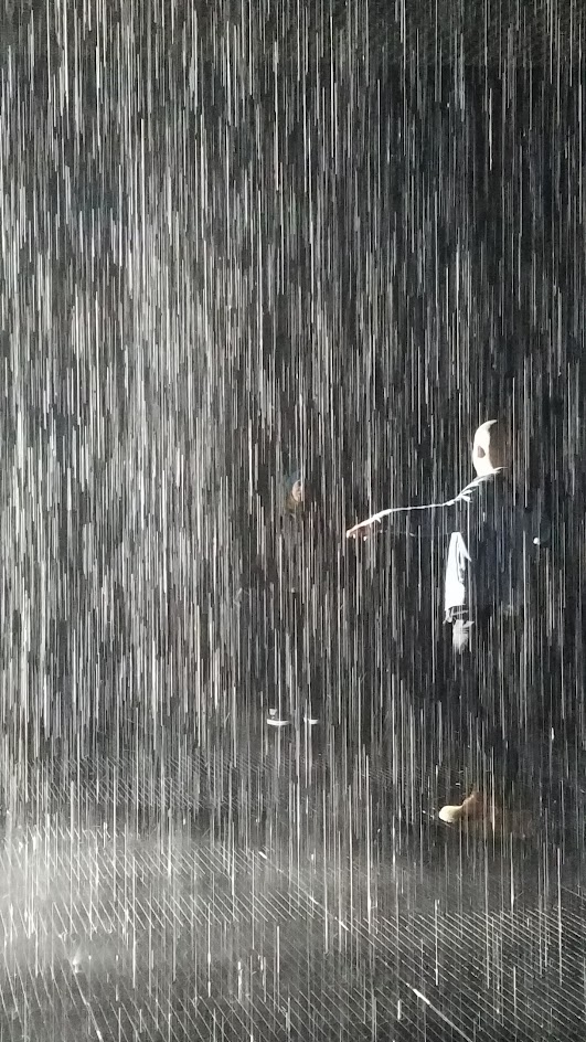 Rain Room by art collective Random International. The timed tickets limited viewers to a small group for 15 minutes. During that time, the audience is treated to a dark room illuminated with dramatic spotlight and torrents of rain controlled by technology that senses where a person is and makes it stop raining where you stand but continues to fall around you.