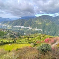 雲頂休閒農場 景觀咖啡廳