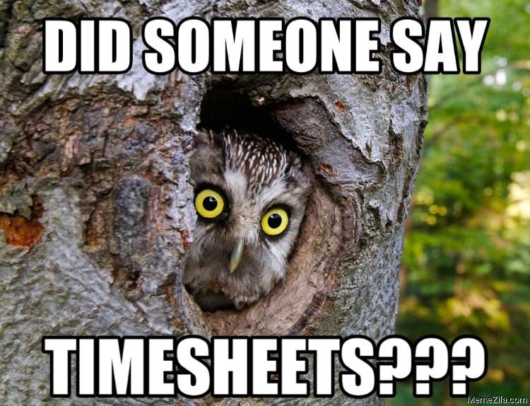 Did someone say timesheets meme