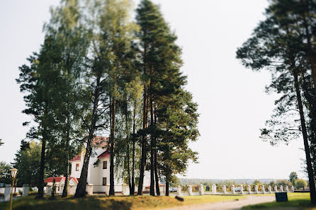 Bryllupsfotograf Aleksandr Savchenko (savchenkosash). Foto fra december 29 2018