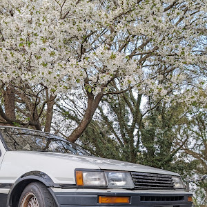 カローラレビン AE86