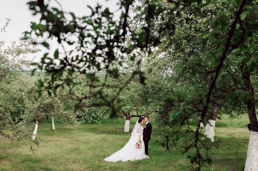 Fotógrafo de bodas Aleksandr Tegza (sanyof). Foto del 24 de mayo 2016