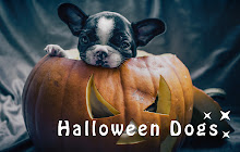 Halloween Dogs HD Wallpaper New Tab Theme small promo image