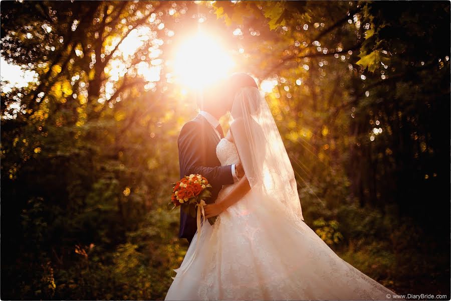 Photographe de mariage Aleksandr Sergeevich (cinemawork). Photo du 24 décembre 2014