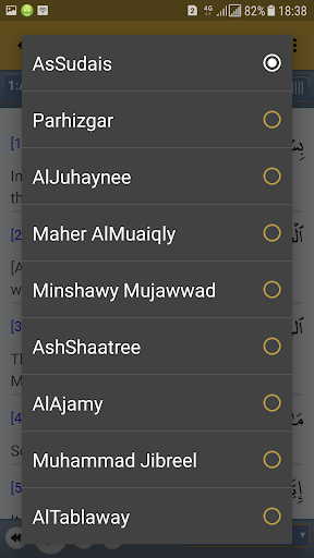 Quran MP3 Full Offline Nabil Ar Rifai Full Quran
