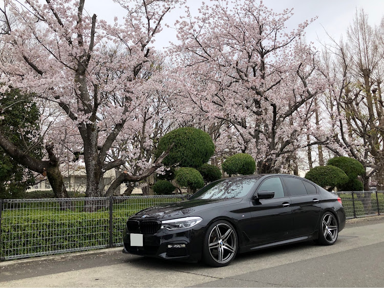 5シリーズ セダンの桜とコラボ🌸・🍺呑みたかったに関するカスタム事例の投稿画像2枚目