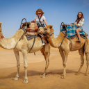 Tourists ride camels