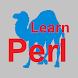 Learn Perl Programming Easy