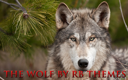 The Wolf by RB Themes