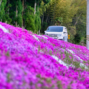 ステップワゴンスパーダ RK6