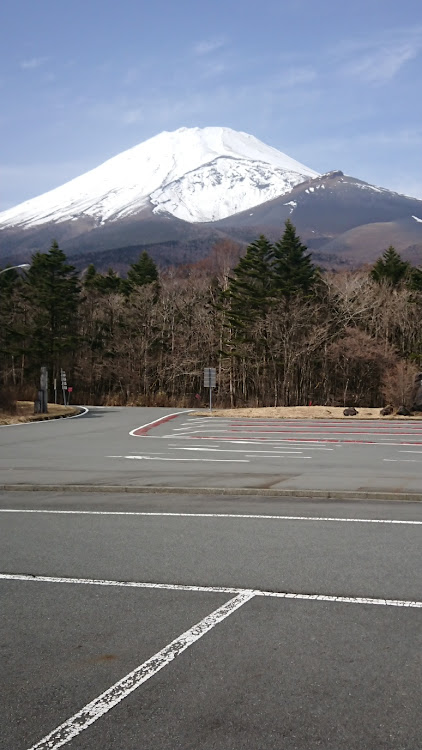 アルテッツァの早春・公園散歩・富士山と愛車に関するカスタム事例の投稿画像8枚目