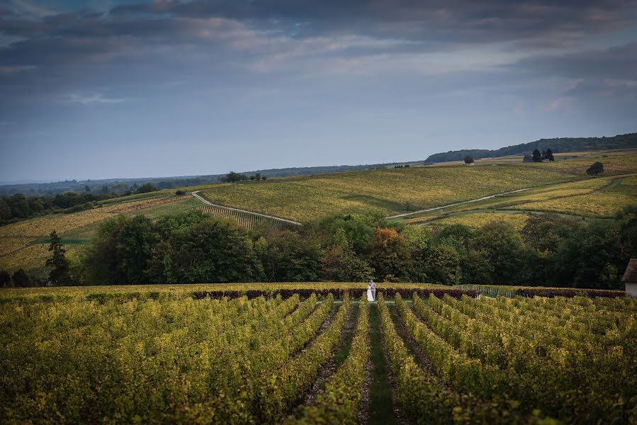 Fotógrafo de bodas Lisa Derevycka (derevycka). Foto del 17 de mayo 2015