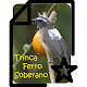 Download Trinca Ferro Soberano For PC Windows and Mac 1.0