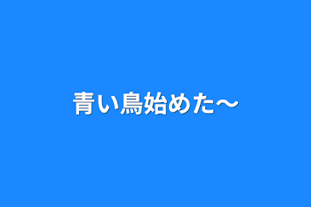 「青い鳥始めた〜」のメインビジュアル