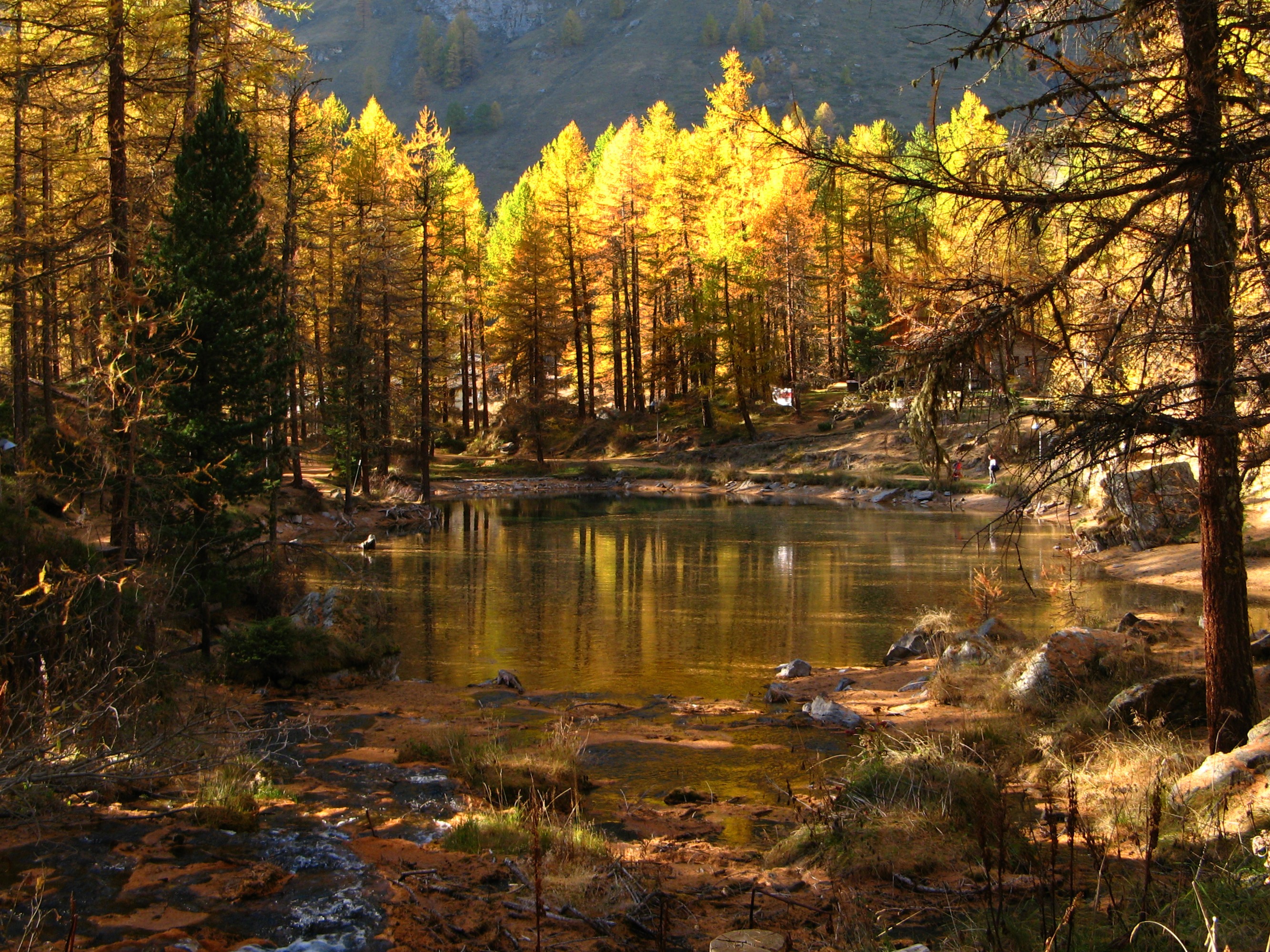 Sul lago dorato di donyb