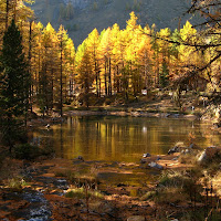 Sul lago dorato di 