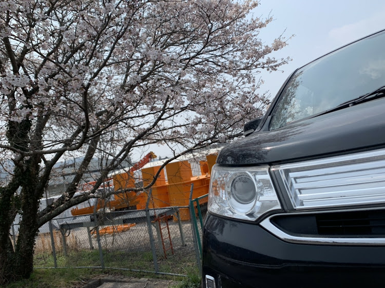 ワゴンRスティングレーの桜に関するカスタム事例の投稿画像2枚目