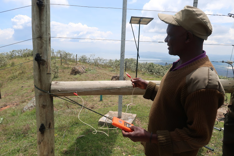 A worker tests power at the Eburu electric fence.