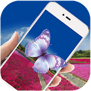 Colorful Flower Live Wallpaper  Icon