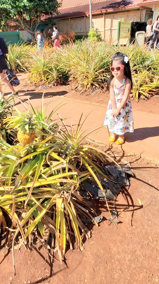 Review of Visiting Dole Plantation