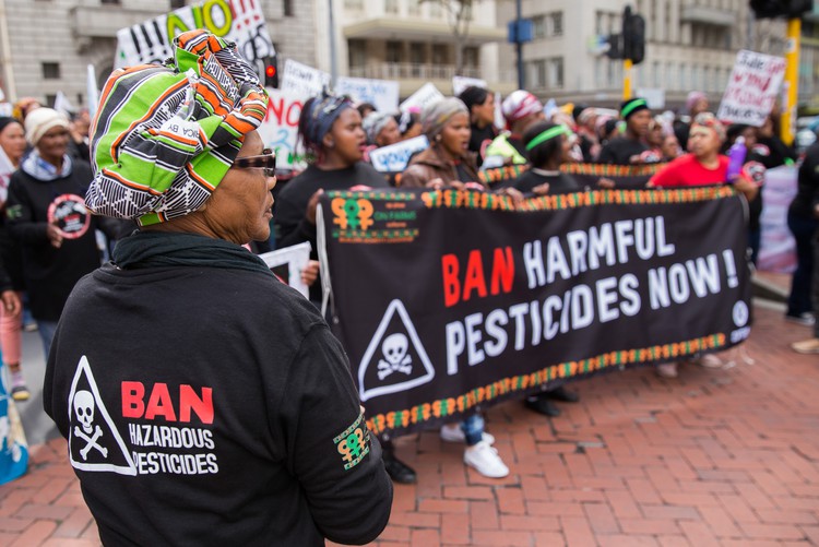 Farmworkers supported by the Women on Farms Project want 67 pesticides that it says are banned by the EU to be banned in South Africa.