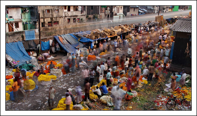 Oh Calcutta! di Delvecchio Dario