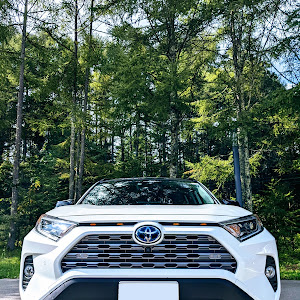 RAV4 AXAH54