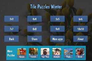 Tile Puzzles · Winter