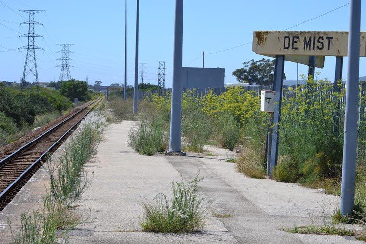 The weeds are waist-high and higher at De Mist train station in Uitenhage.