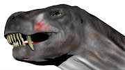 Reconstruction of Euchambersia.Oblique ventro-lateral view showing the ridged dentition.