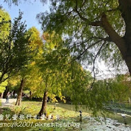 菁芳園 Tenway Garden／花園餐廳／落羽松