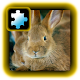 Jigsaw Puzzle VIP: Rabbit