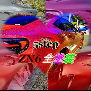 86 ZN6