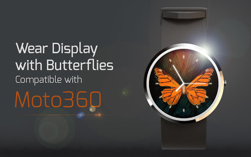 Wear Display with Butterflies