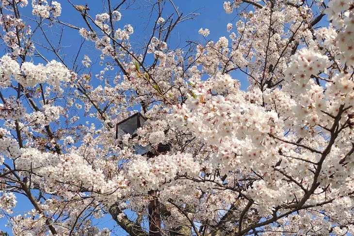 「♰ ぅ ぃ ♰ の写真部屋📷」のメインビジュアル