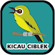 Download Kicau Ciblek Pemikat Mp3 Offline For PC Windows and Mac 1.0