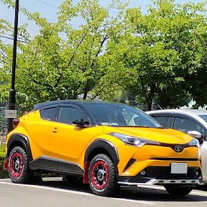 C-HR NGX50