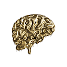 Brain Of Gold