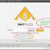 Share Large files up to 5GB without any signup with BayFiles